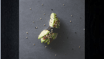 Avocado Nigiri
